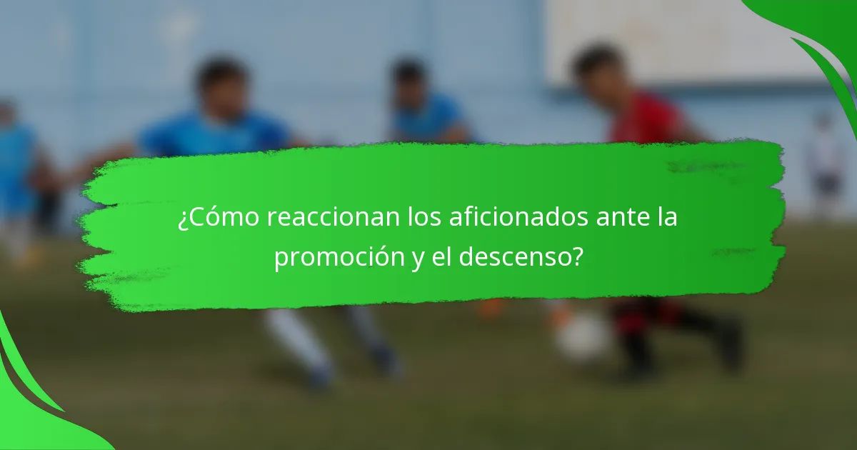 ¿Cómo reaccionan los aficionados ante la promoción y el descenso?