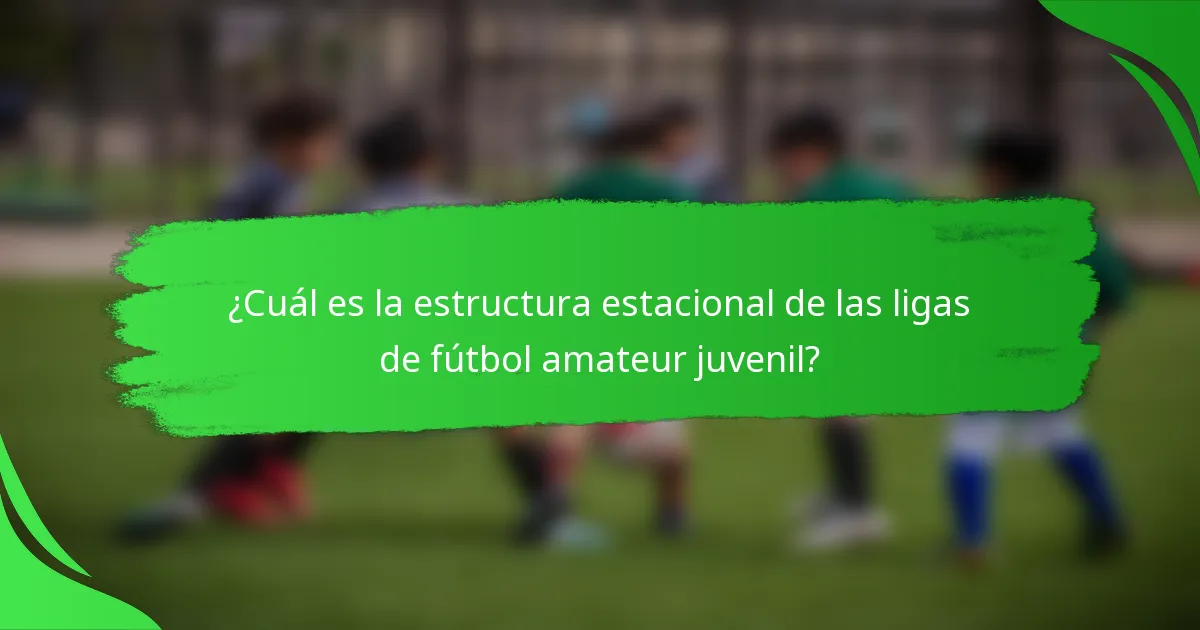 ¿Cuál es la estructura estacional de las ligas de fútbol amateur juvenil?