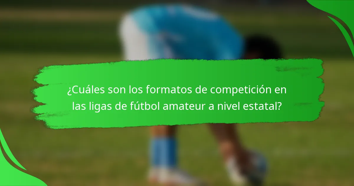 ¿Cuáles son los formatos de competición en las ligas de fútbol amateur a nivel estatal?
