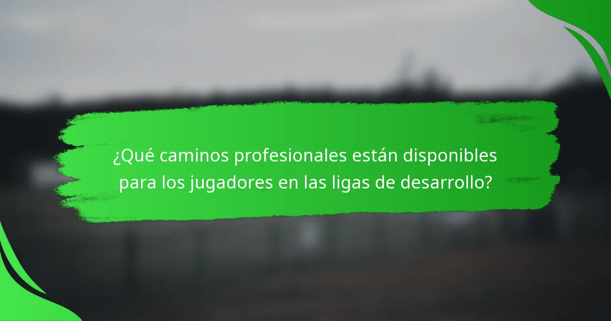 ¿Qué caminos profesionales están disponibles para los jugadores en las ligas de desarrollo?