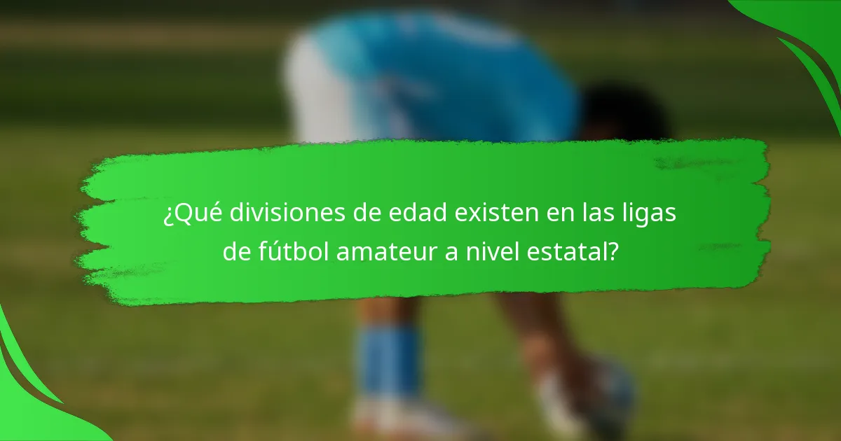 ¿Qué divisiones de edad existen en las ligas de fútbol amateur a nivel estatal?